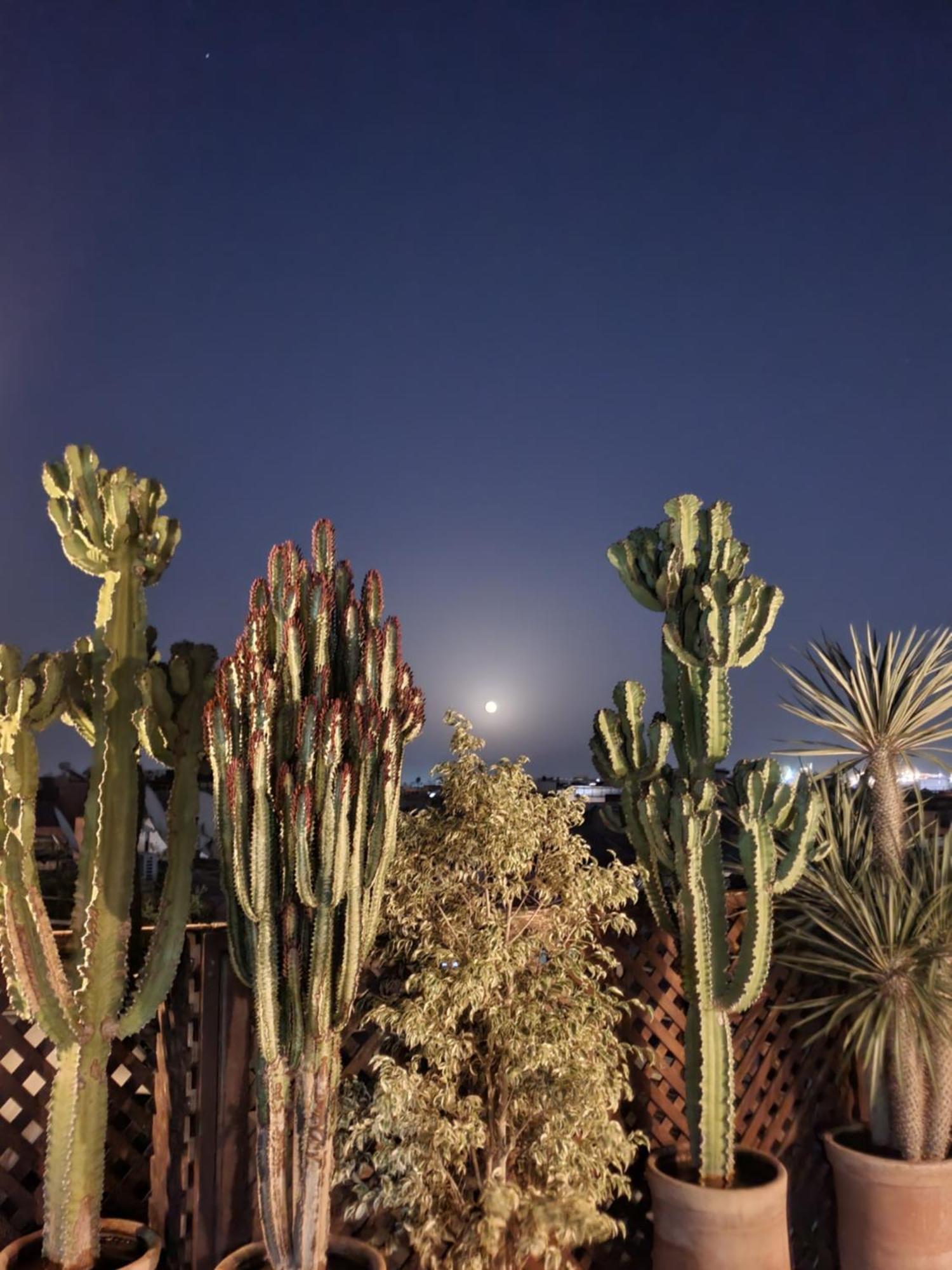 Riad Alma Mouassine Marrakesh Luaran gambar